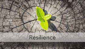 Blog-Image-Resilience-700x400-1